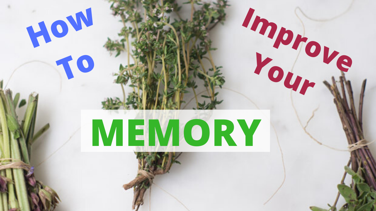 How To Improve Memory with Herbal Blends Jovanka Ciares